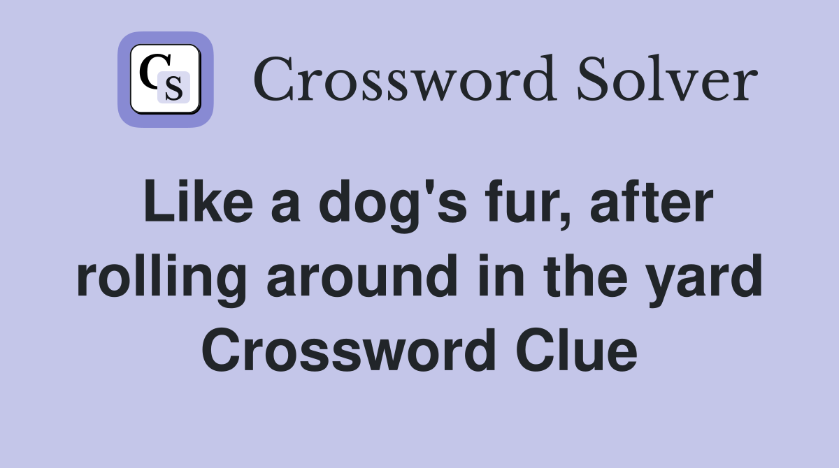 Like a dog's fur, after rolling around in the yard Crossword Clue